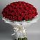 Букет 101 Красная роза Блэк Мэджик в Коноше