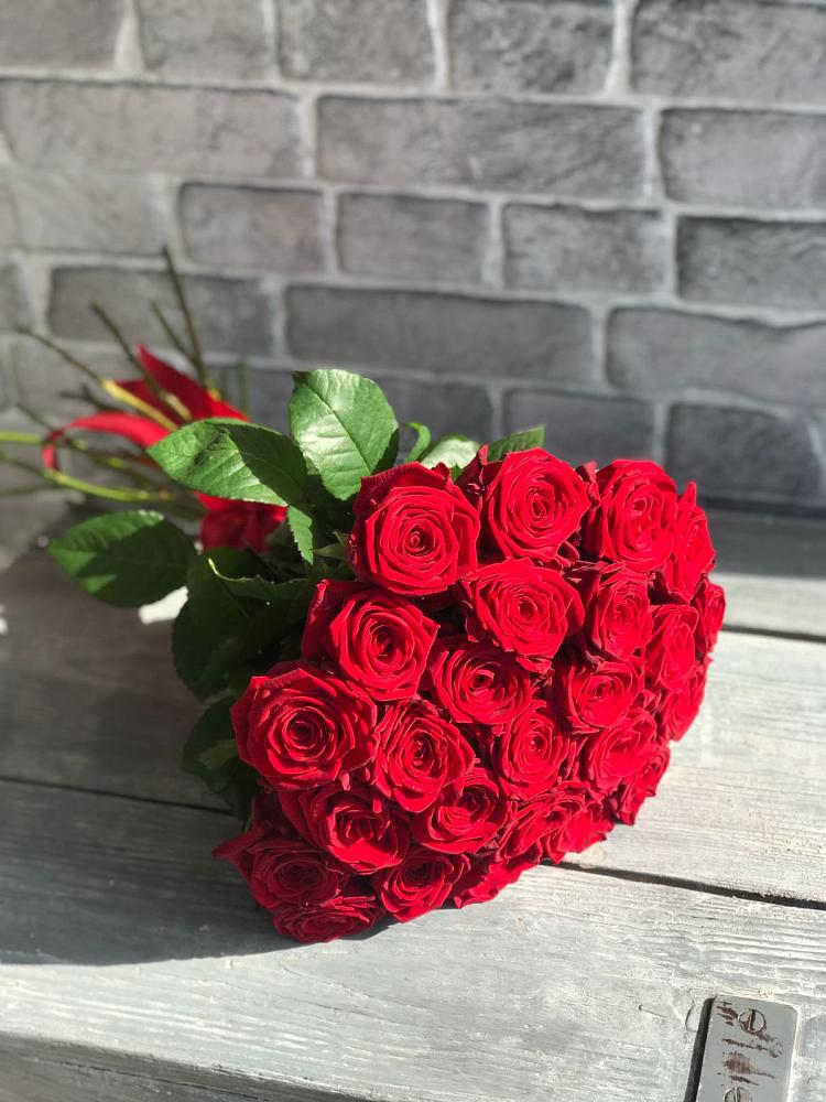 Букет Красные розы Фридом в Коноше