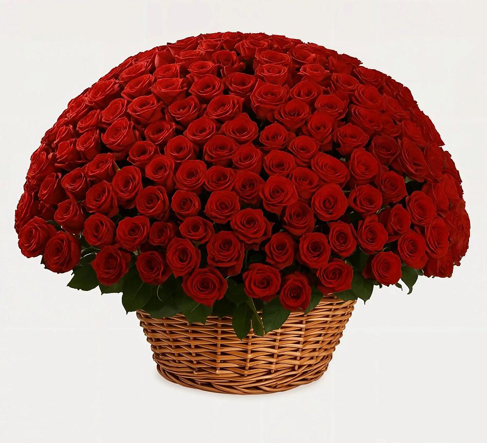 Премиум букет из: Розы в Коноше