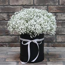 Цветочная композиция из Гипсофила в шляпной коробке в Коноше