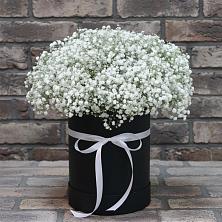 Цветочная композиция из Гипсофила в шляпной коробке в Коноше